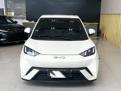 2025 Seagull 305km Vitality Edition -CG1698782