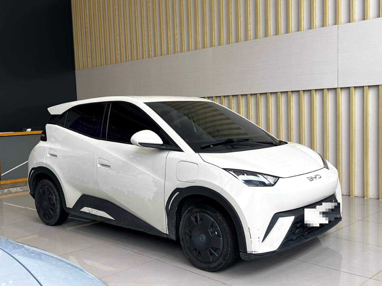 2025 Seagull 305km Vitality Edition -CG1698782