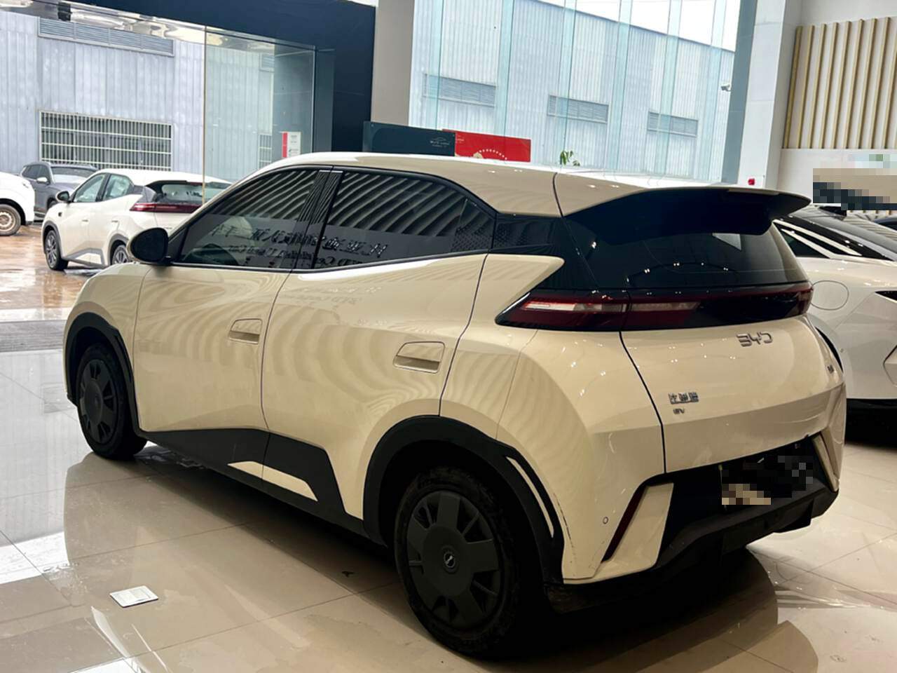 2025 Seagull 305km Vitality Edition -CG1698782