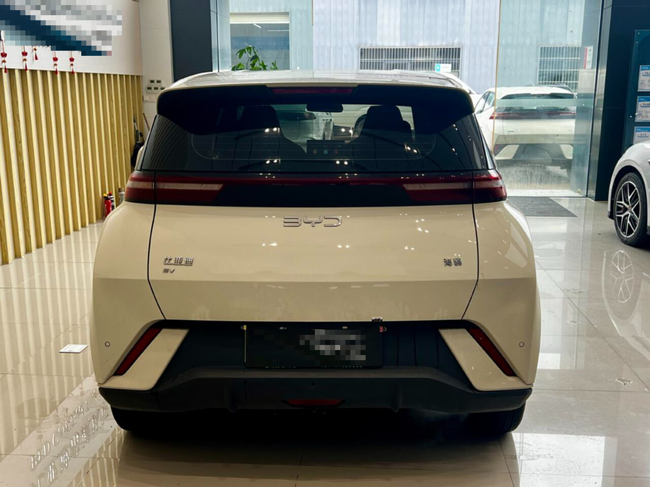 2025 Seagull 305km Vitality Edition -CG1698782