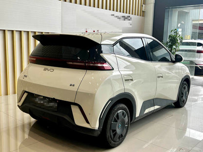 2025 Seagull 305km Vitality Edition -CG1698782