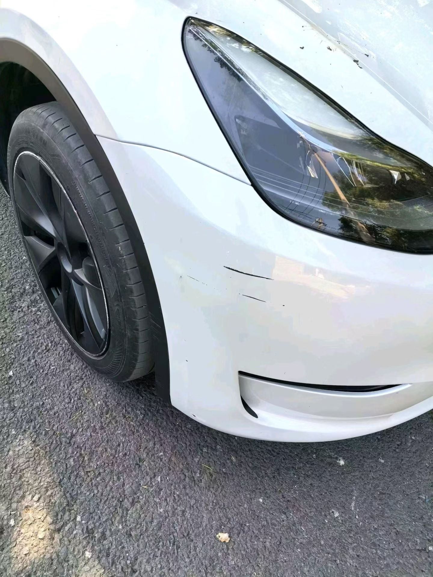 2024 Tesla Model Y Rear-Wheel Drive -CG1698813