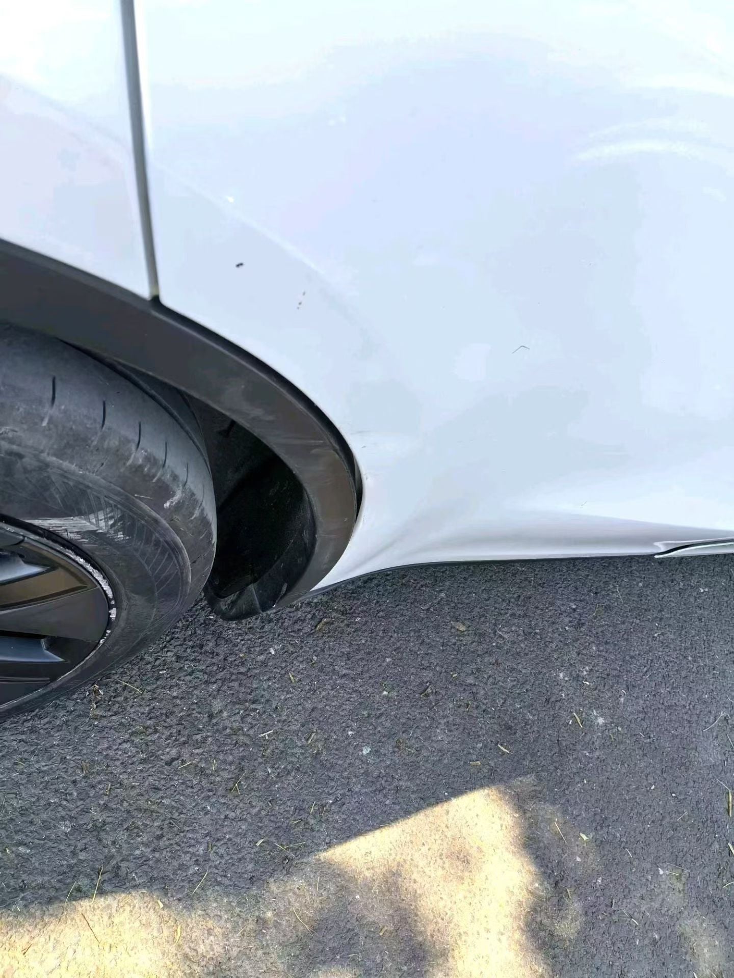 2024 Tesla Model Y Rear-Wheel Drive -CG1698813