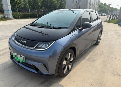 2024 Dolphin Honor Edition 401km Knight Edition -CG1698827