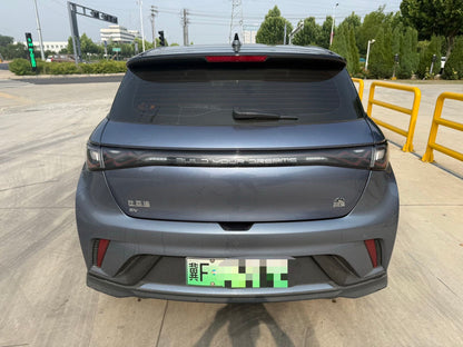 2024 Dolphin Honor Edition 401km Knight Edition -CG1698827