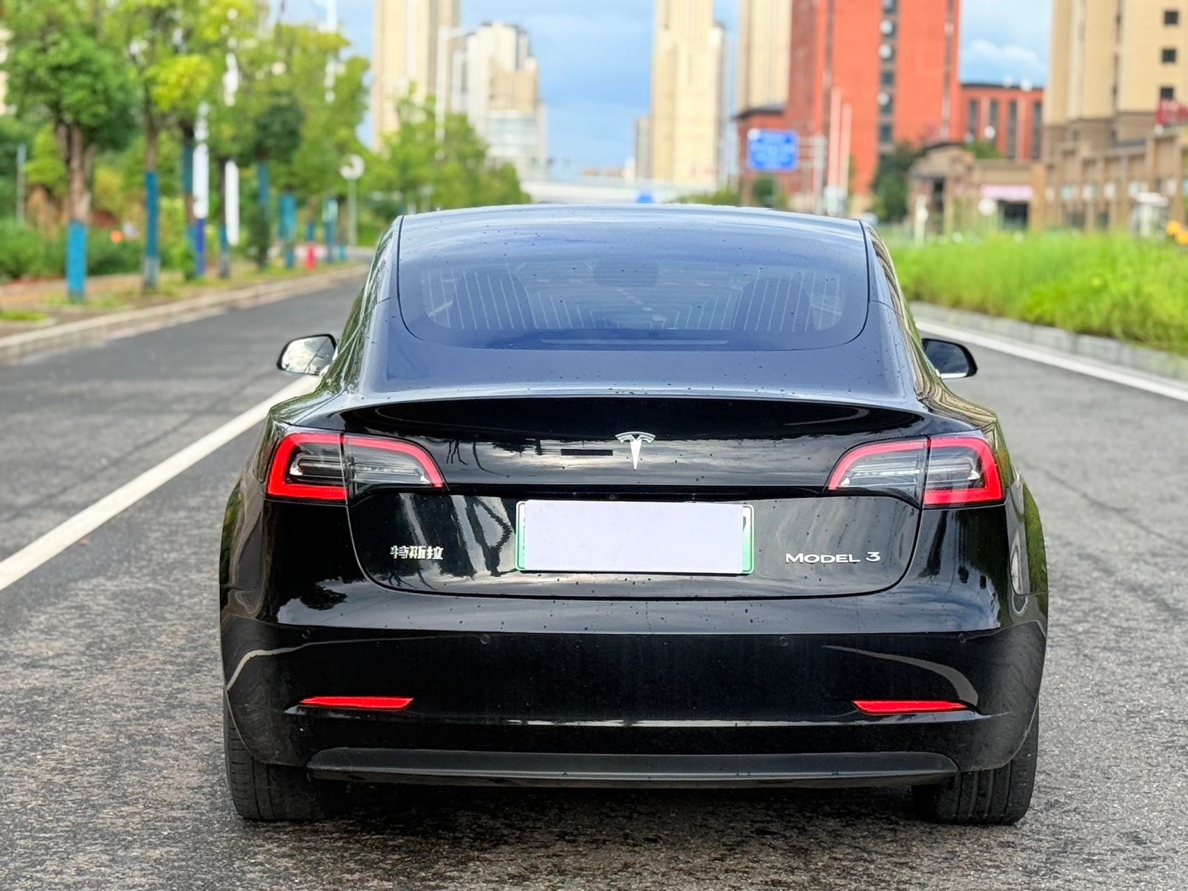 2020 Tesla Model 3 Electric Standard Range Rear-Wheel Drive Upgrade -CG1698838