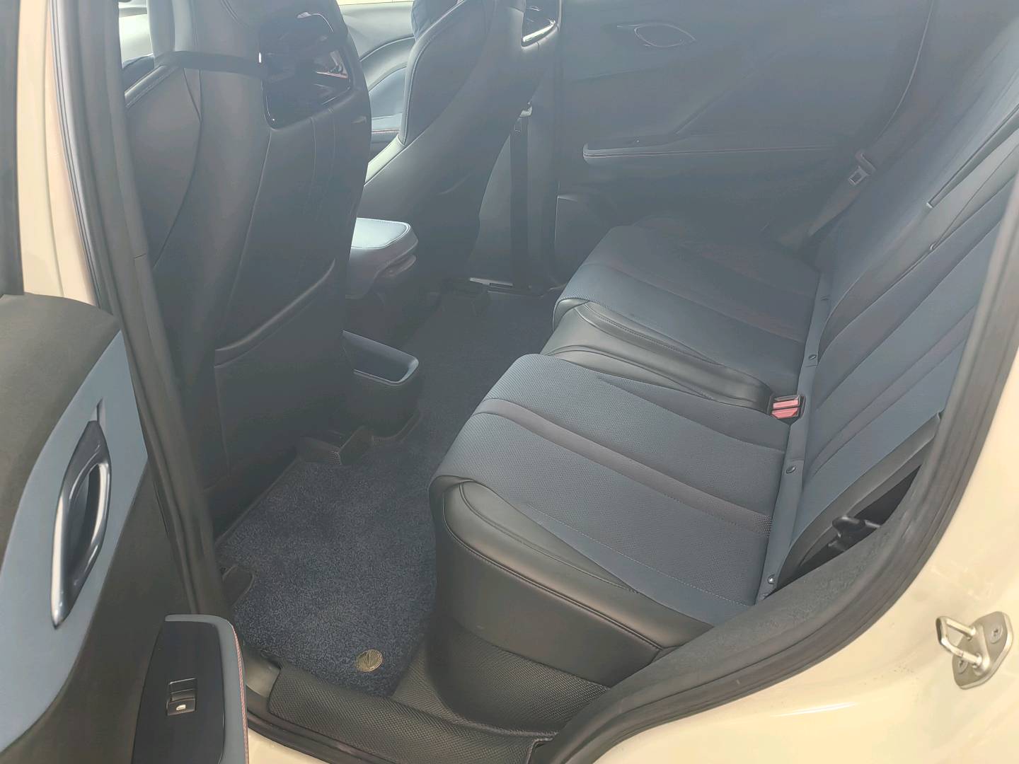 2024 Seagull Honor Edition 305km Dynamic Edition -CG1698858