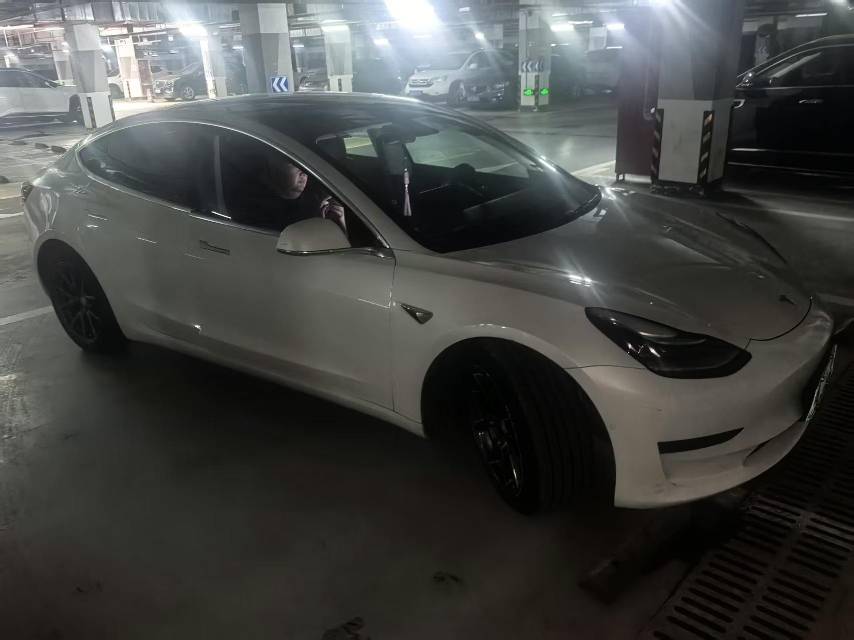 2020 Tesla Model 3 Electric Standard Range Rear-Wheel Drive Upgrade -CG1699056