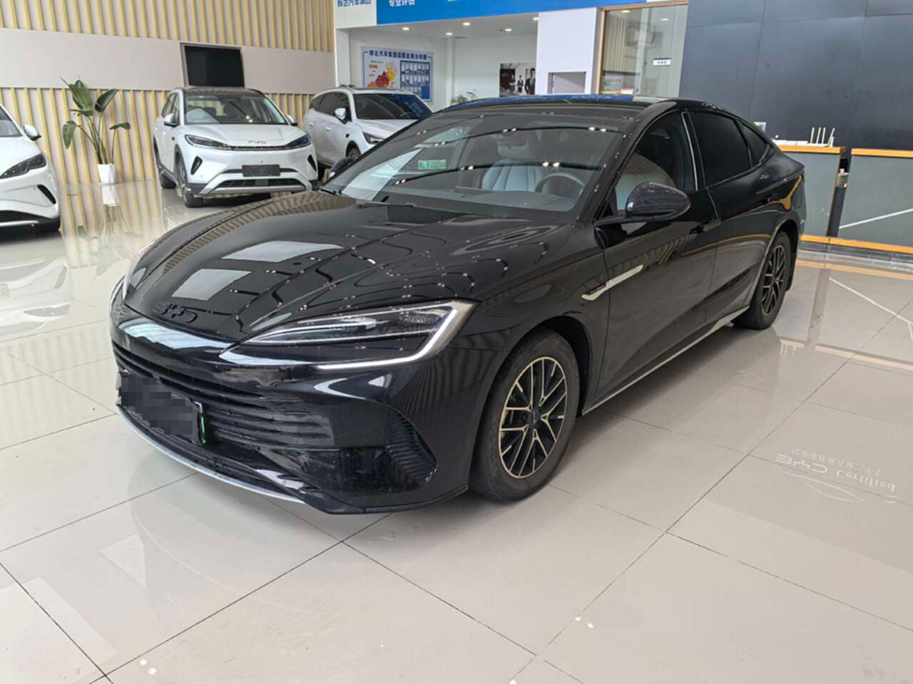 2023 Seal DM-i 1.5L 121km Elite -CG1699390
