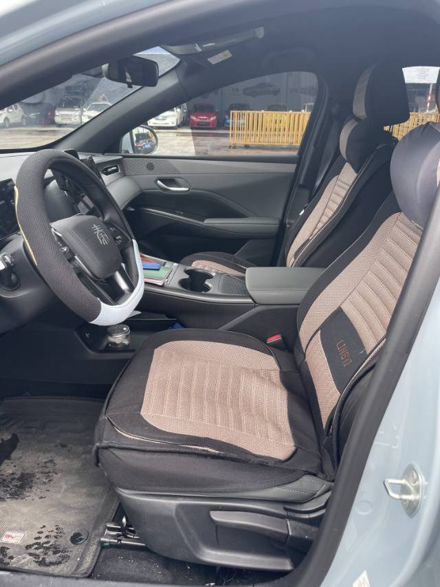 2025 Qin PLUS EV Intelligent Driving Edition 510KM Leading Model -CG1699426