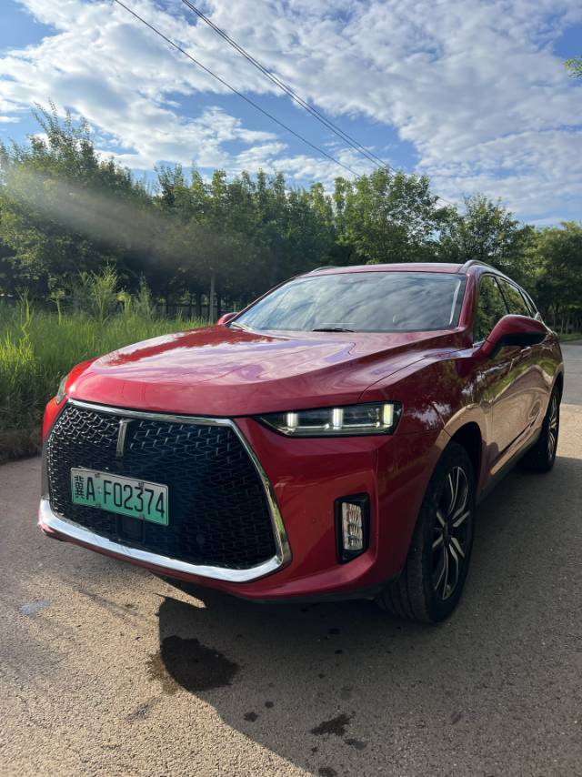 2018 WEY P8 2.0T Dual-Clutch Flagship -CG1699507