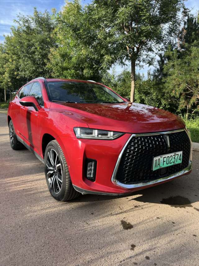 2018 WEY P8 2.0T Dual-Clutch Flagship -CG1699507