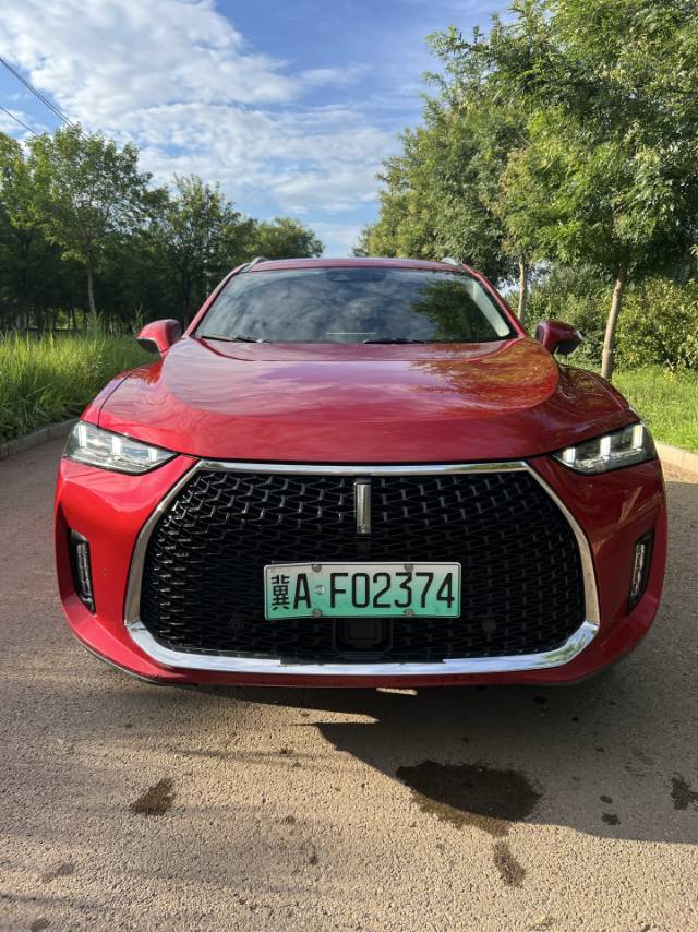 2018 WEY P8 2.0T Dual-Clutch Flagship -CG1699507