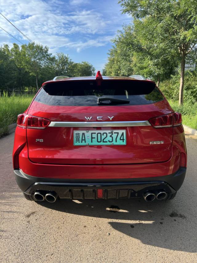 2018 WEY P8 2.0T Dual-Clutch Flagship -CG1699507