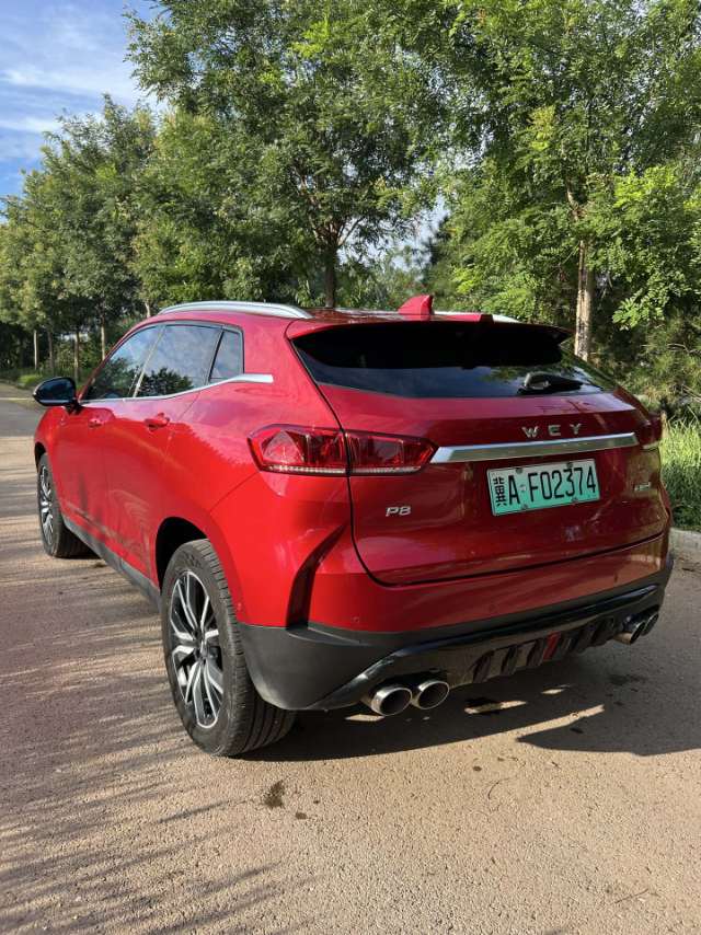 2018 WEY P8 2.0T Dual-Clutch Flagship -CG1699507