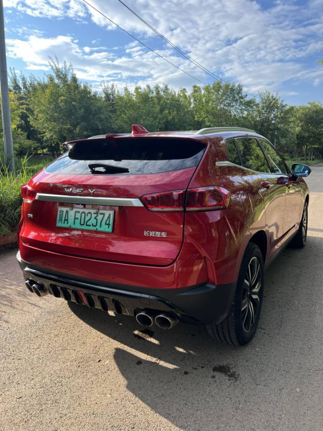 2018 WEY P8 2.0T Dual-Clutch Flagship -CG1699507