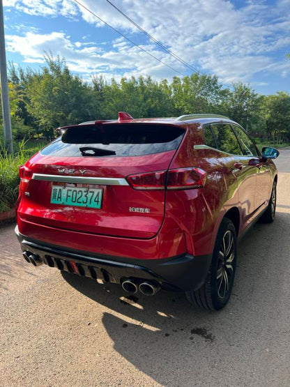 2018 WEY P8 2.0T Dual-Clutch Flagship -CG1699507