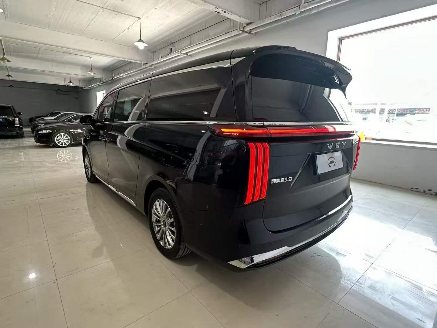 2025 WEY Gaoshan 4WD Gaoshan 9 -CG1700376