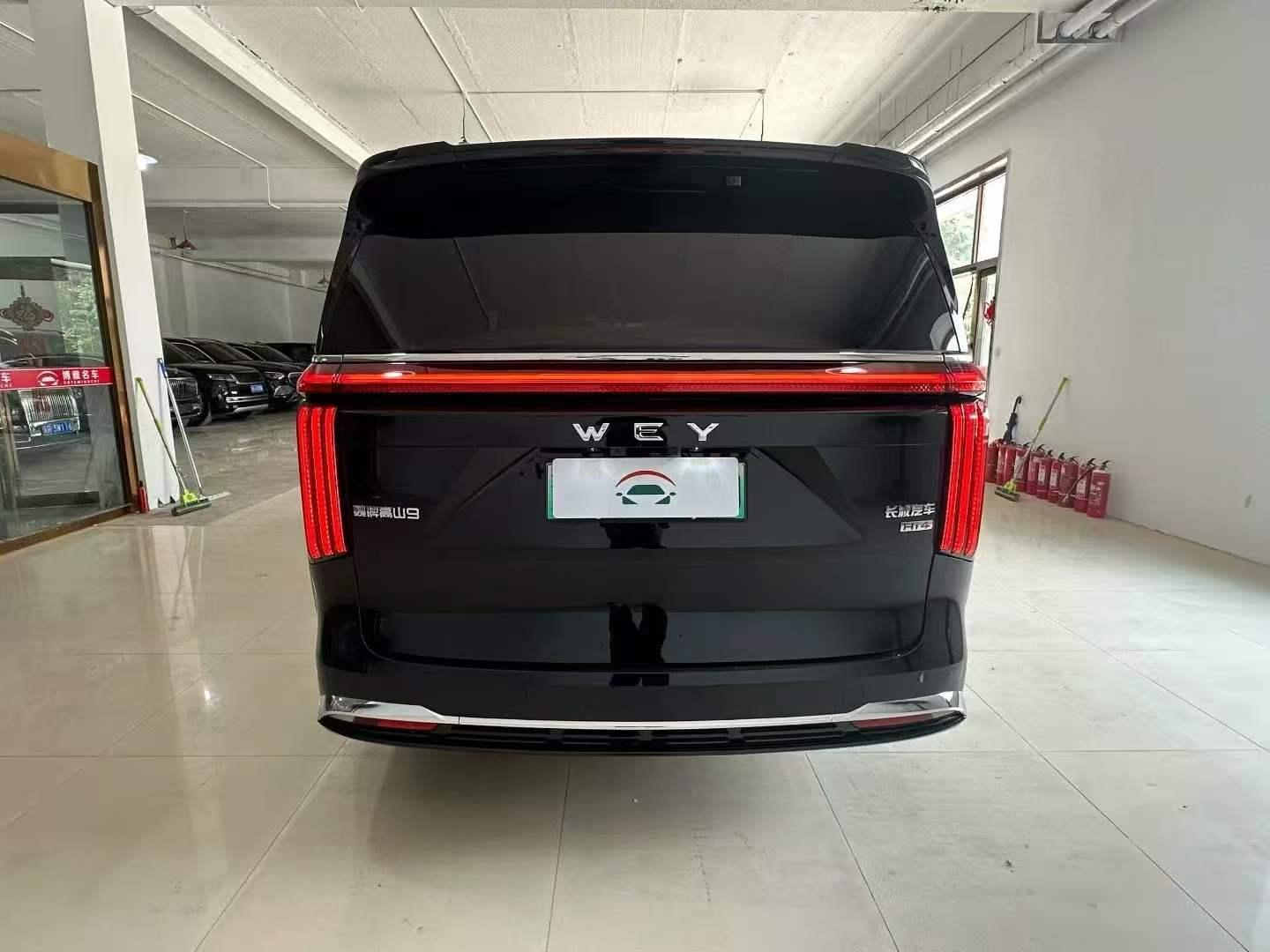 2025 WEY Gaoshan 4WD Gaoshan 9 -CG1700376