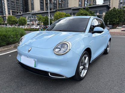 2021 Ora Good Cat Electric 400km Standard Range Athena Edition Ternary Lithium Battery -CG1700402