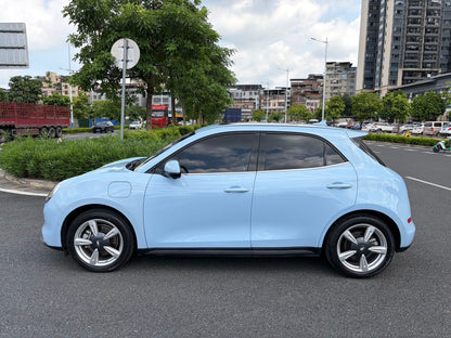 2021 Ora Good Cat Electric 400km Standard Range Athena Edition Ternary Lithium Battery -CG1700402