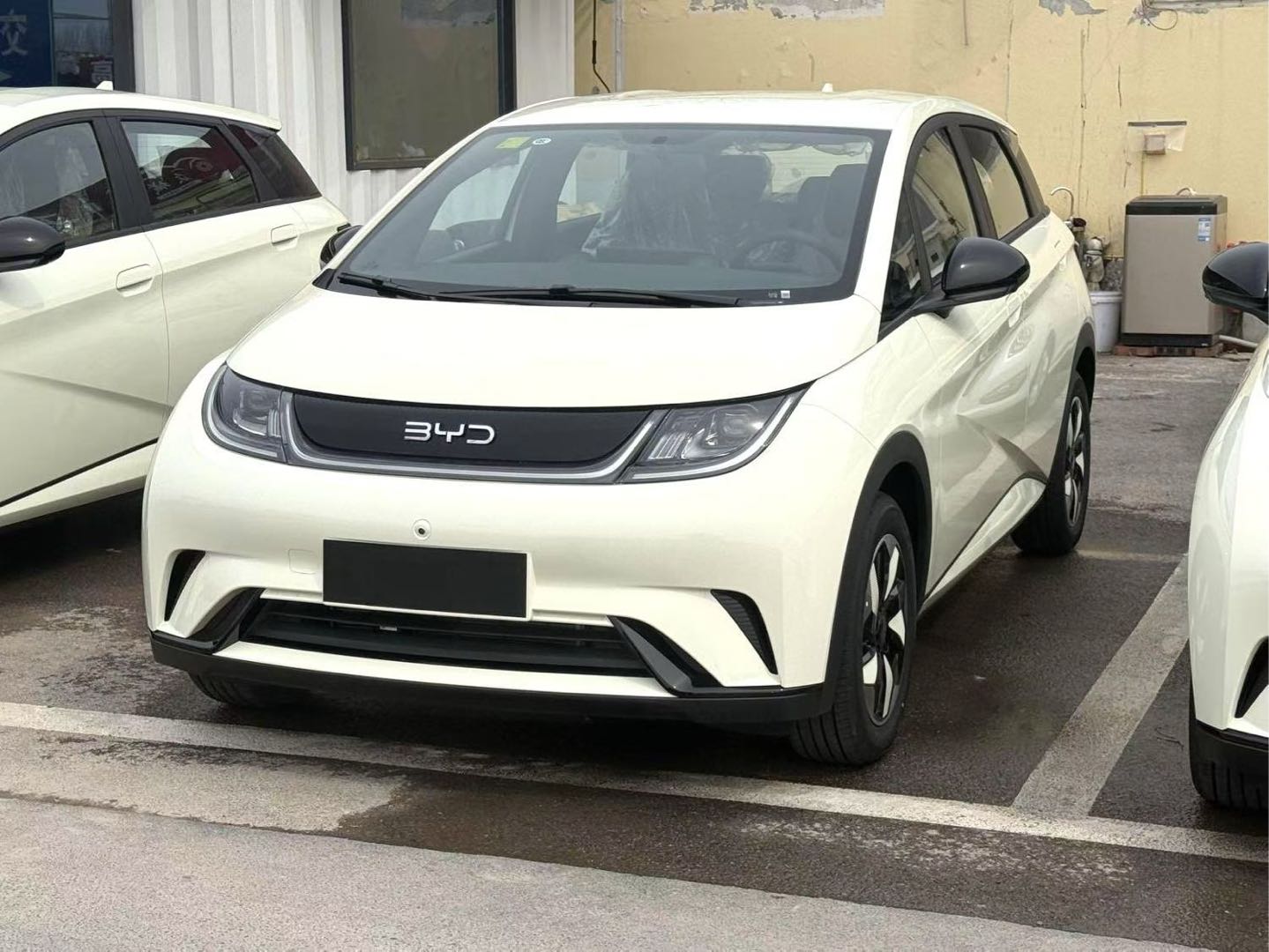 2025 Dolphin 420km Freedom Edition -CG1700501