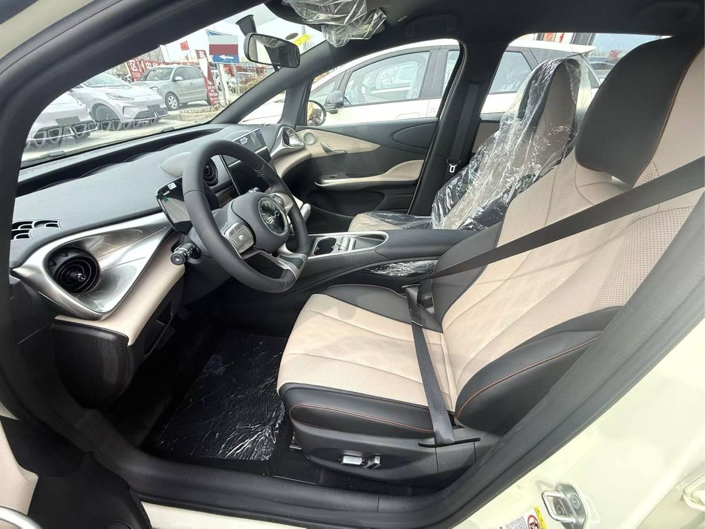 2025 Dolphin 420km Free Edition -CG1700501