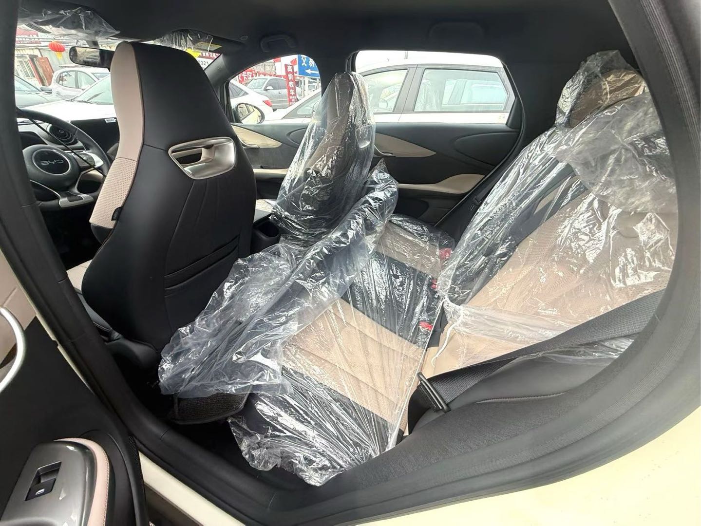 2025 Dolphin 420km Free Edition -CG1700501
