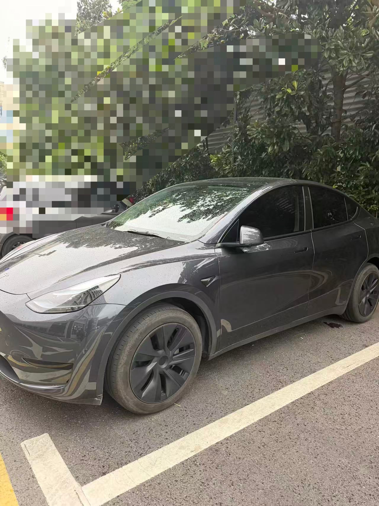 2024 Tesla Model Y Rear-Wheel Drive -CG1700582