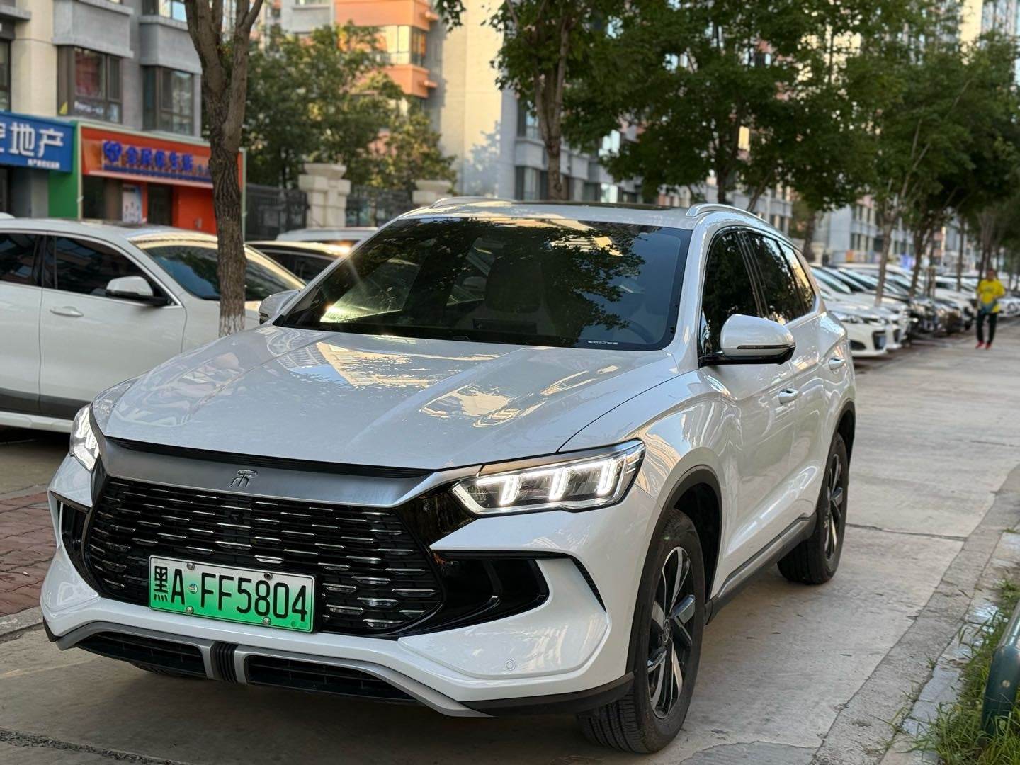 2024 Song Pro New Energy Honor Edition DM-i 71KM Leading Model -CG1702363