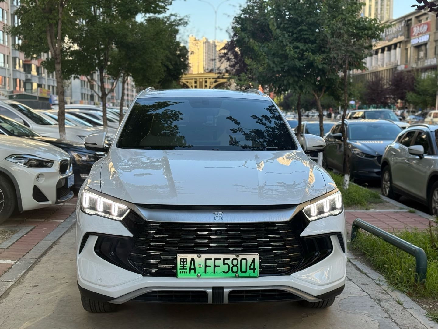 2024 Song Pro New Energy Honor Edition DM-i 71KM Leading Model -CG1702363