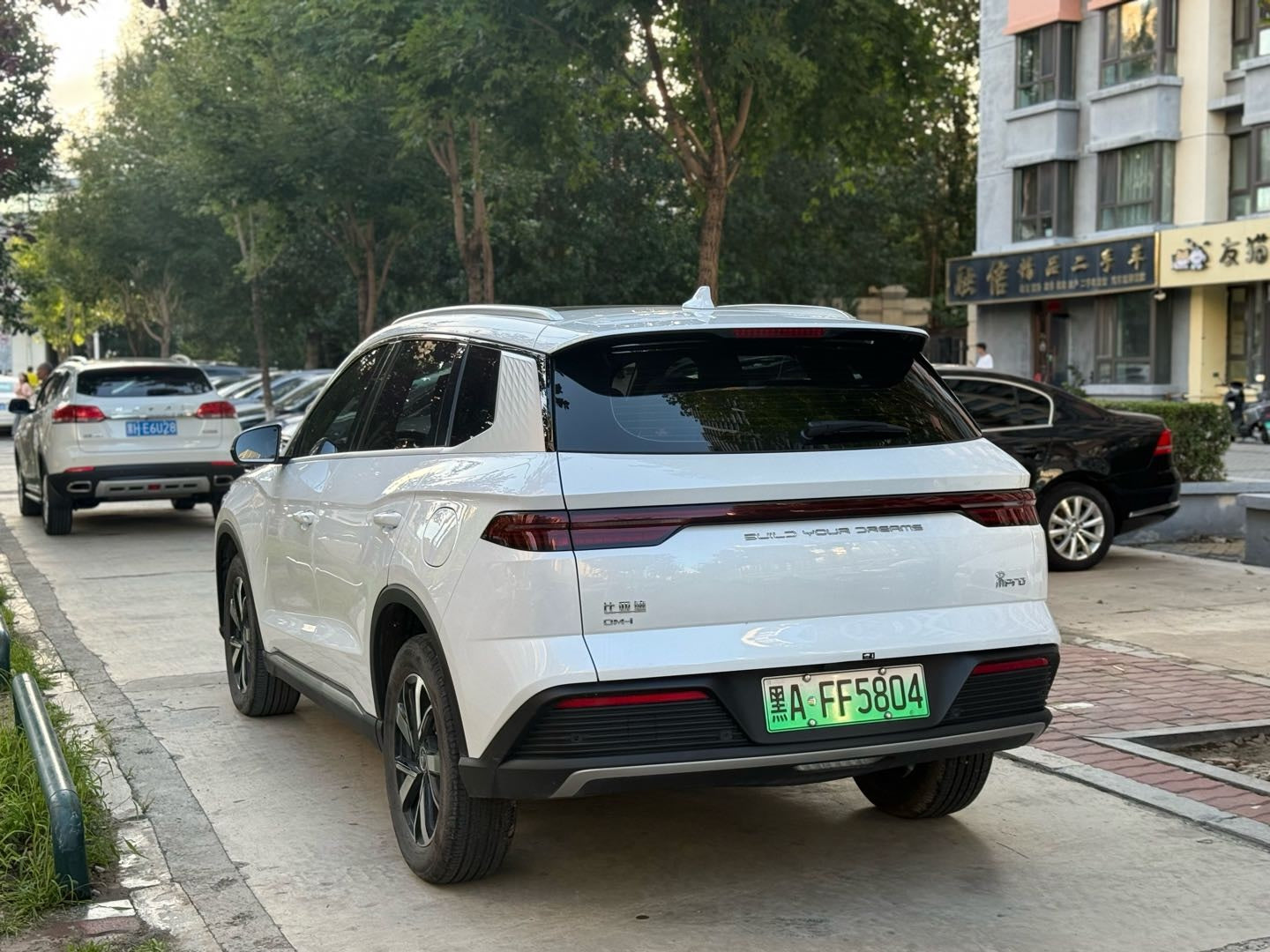 2024 Song Pro New Energy Honor Edition DM-i 71KM Leading Model -CG1702363