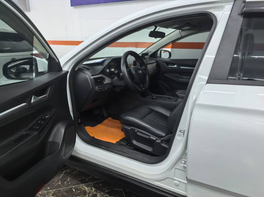 2021 Weltmeister E5 Electric 500 Jikexing -CG1702525