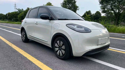 2023 Wuling Bingo Electric 333km Lingxi Connect+ -CG1702530