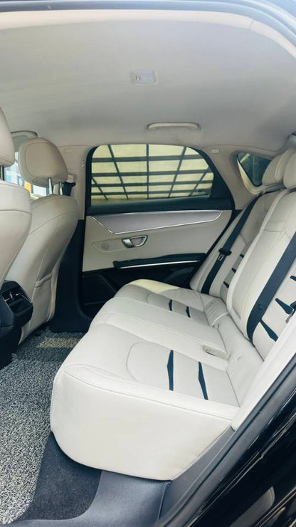 2021 BYD e9 Electric Business Edition -CG1702537