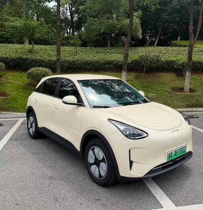 2025 Geely Xingyuan 310km Youth Version -CG1702548