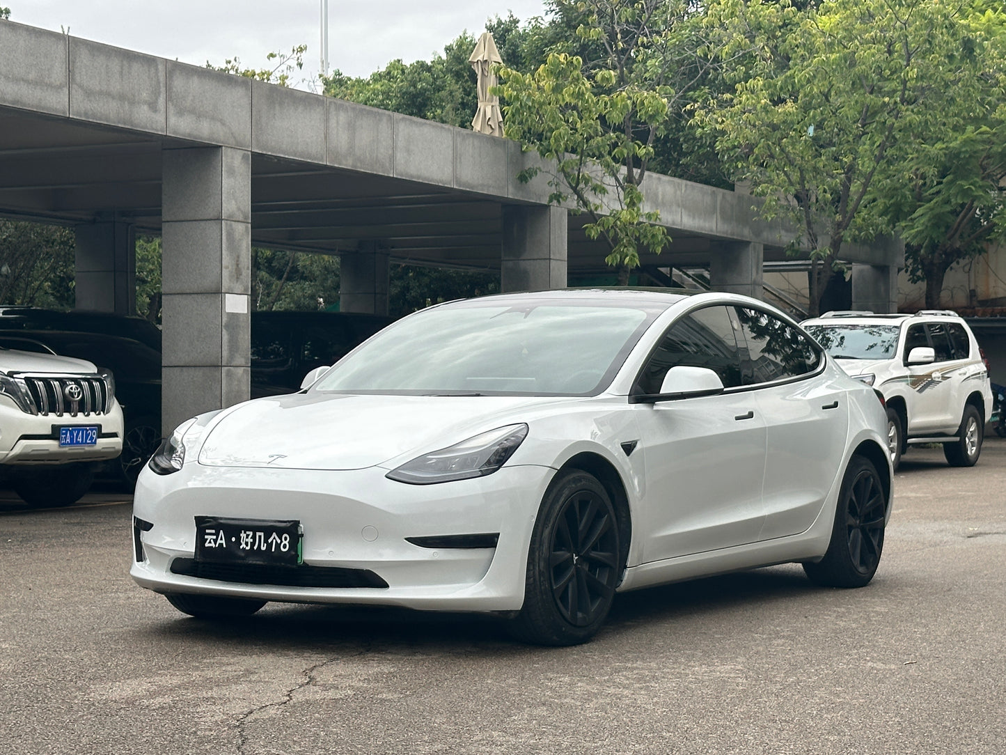2022 Tesla Model 3 Electric Rear-Wheel Drive -CG1702628