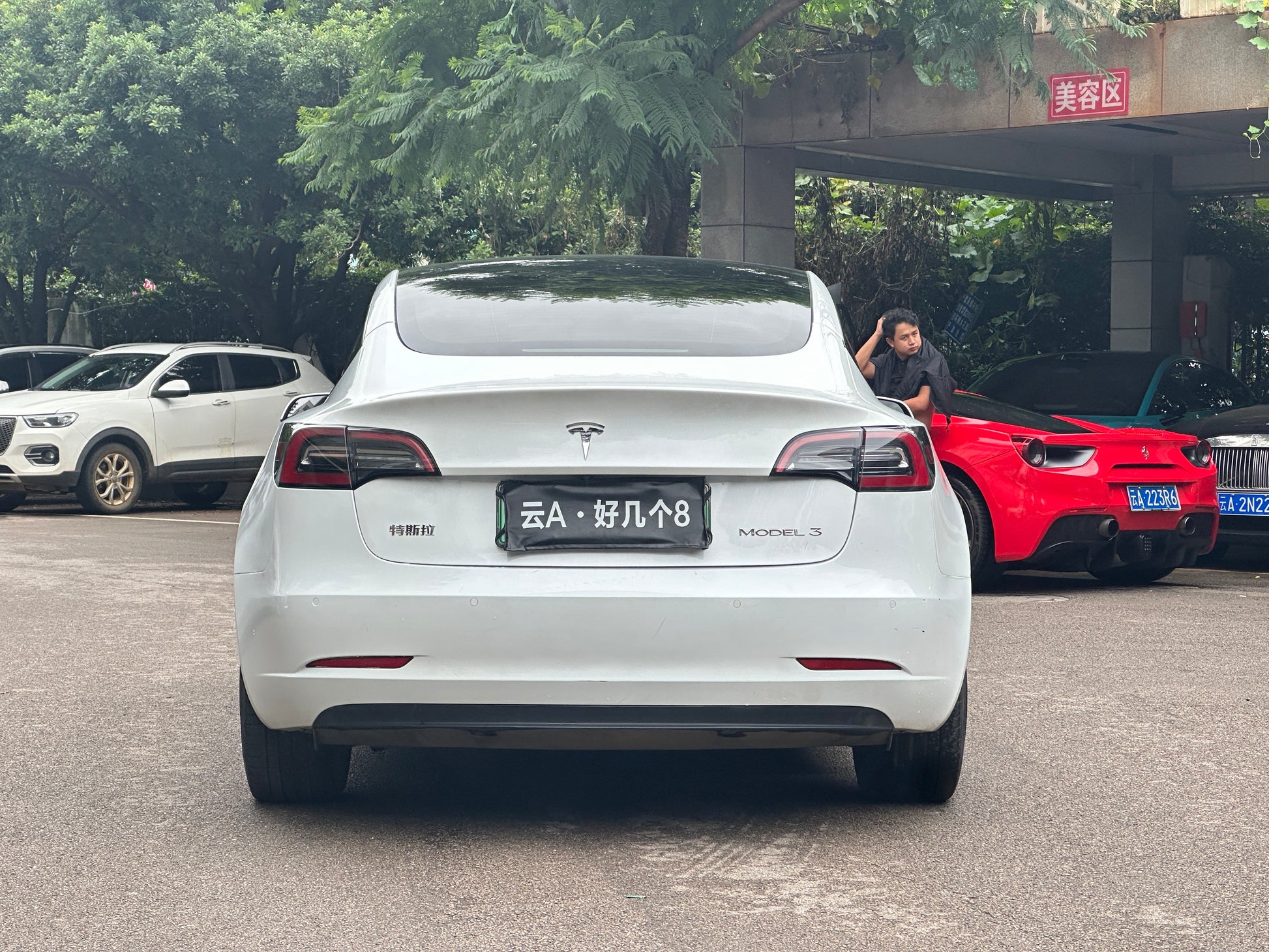 2022 Tesla Model 3 Electric Rear-Wheel Drive -CG1702628