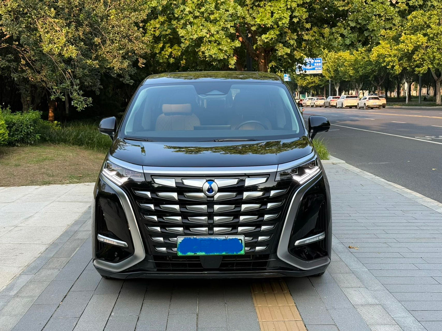 2024 Denza D9 DM-i 970 Luxury -CG1702703