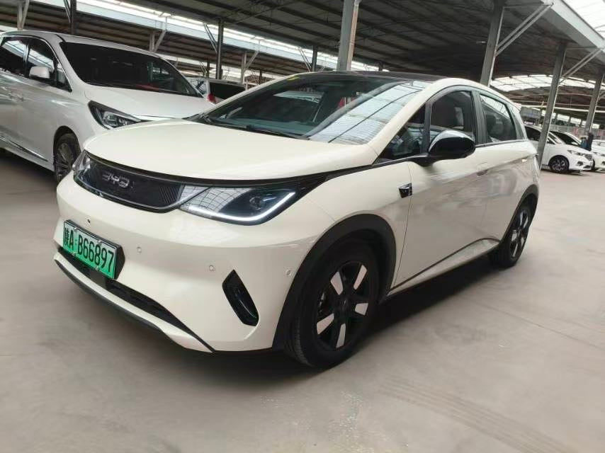 2025 Dolphin Intelligent Driving Edition 410km Fashion Edition -CG1702741