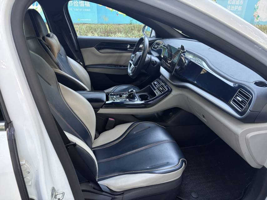 2021 BYD Qin PLUS New Energy Electric 500KM Luxury -CG1702802