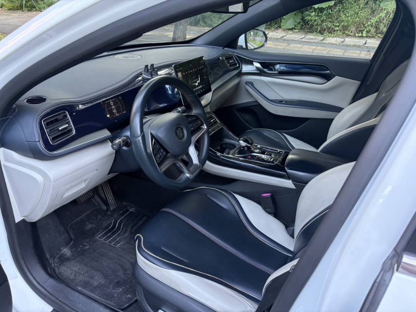 2021 BYD Qin PLUS New Energy Electric 500KM Luxury -CG1702802
