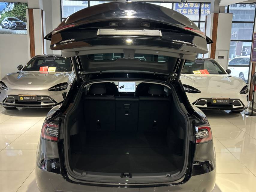 2021 Tesla Model Y Electric Standard Range Rear-Wheel Drive -CG1703346