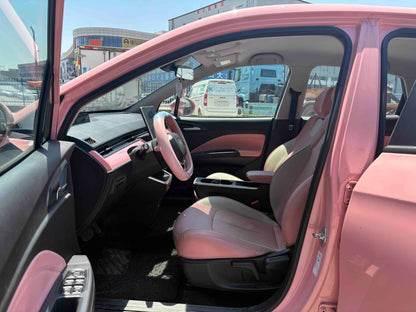 2021 Neta V Electric Ride-Hailing Custom Version -CG1703419