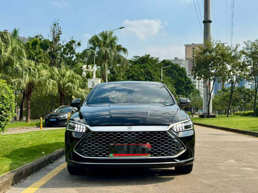 2023 BYD Qin PLUS New Energy 1.5L CVT Champion Edition DM-i 120km Surprise -CG1703519
