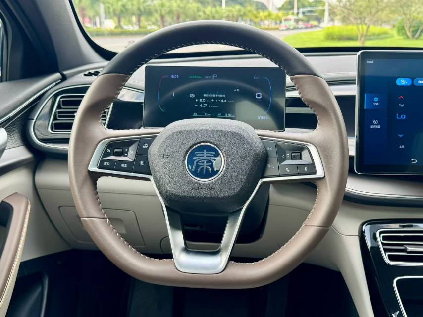 2023 BYD Qin PLUS New Energy 1.5L CVT Champion Edition DM-i 120km Surprise -CG1703519