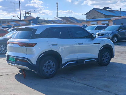2024 BYD Yuan UP 401KM Vitality Edition -CG1703862
