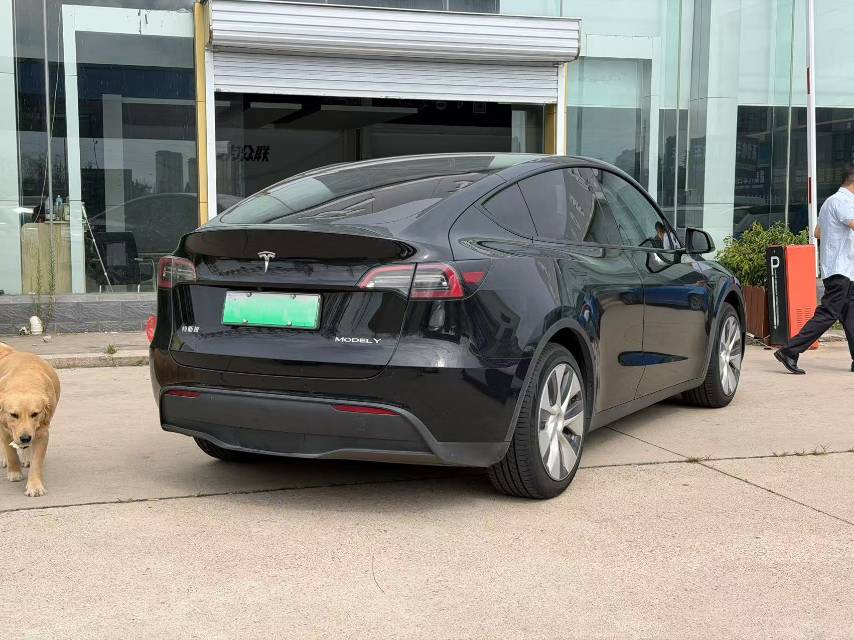 2022 Tesla Model Y Electric Revised Rear-Wheel Drive Version -CG1703649