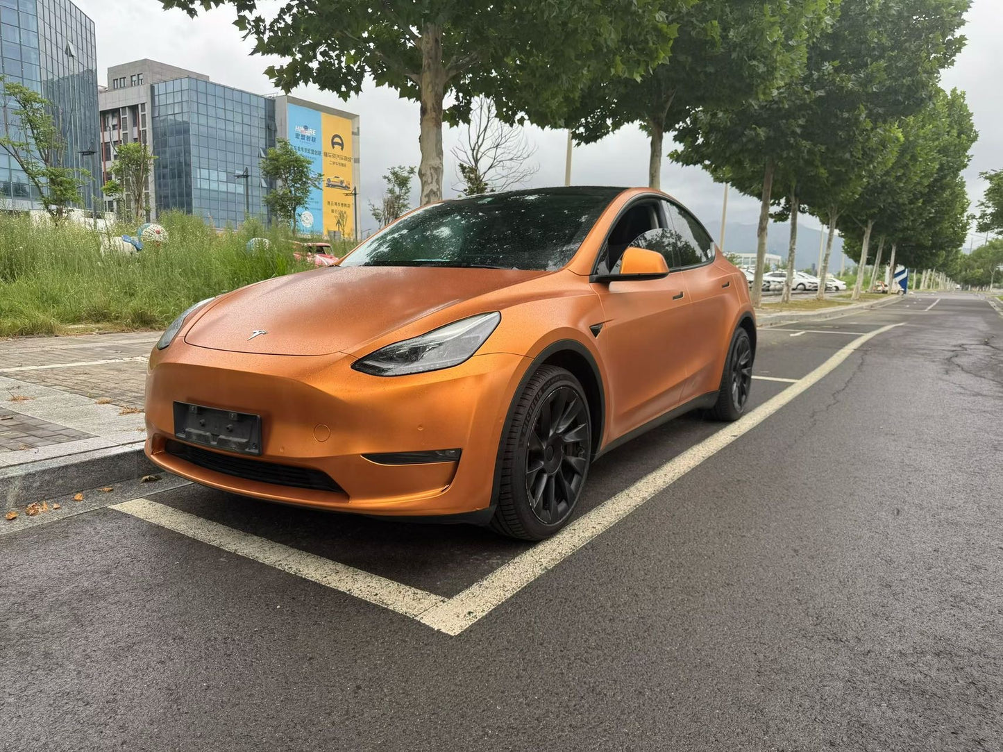 2021 Tesla Model Y Electric Standard Range Rear-Wheel Drive -CG1703689