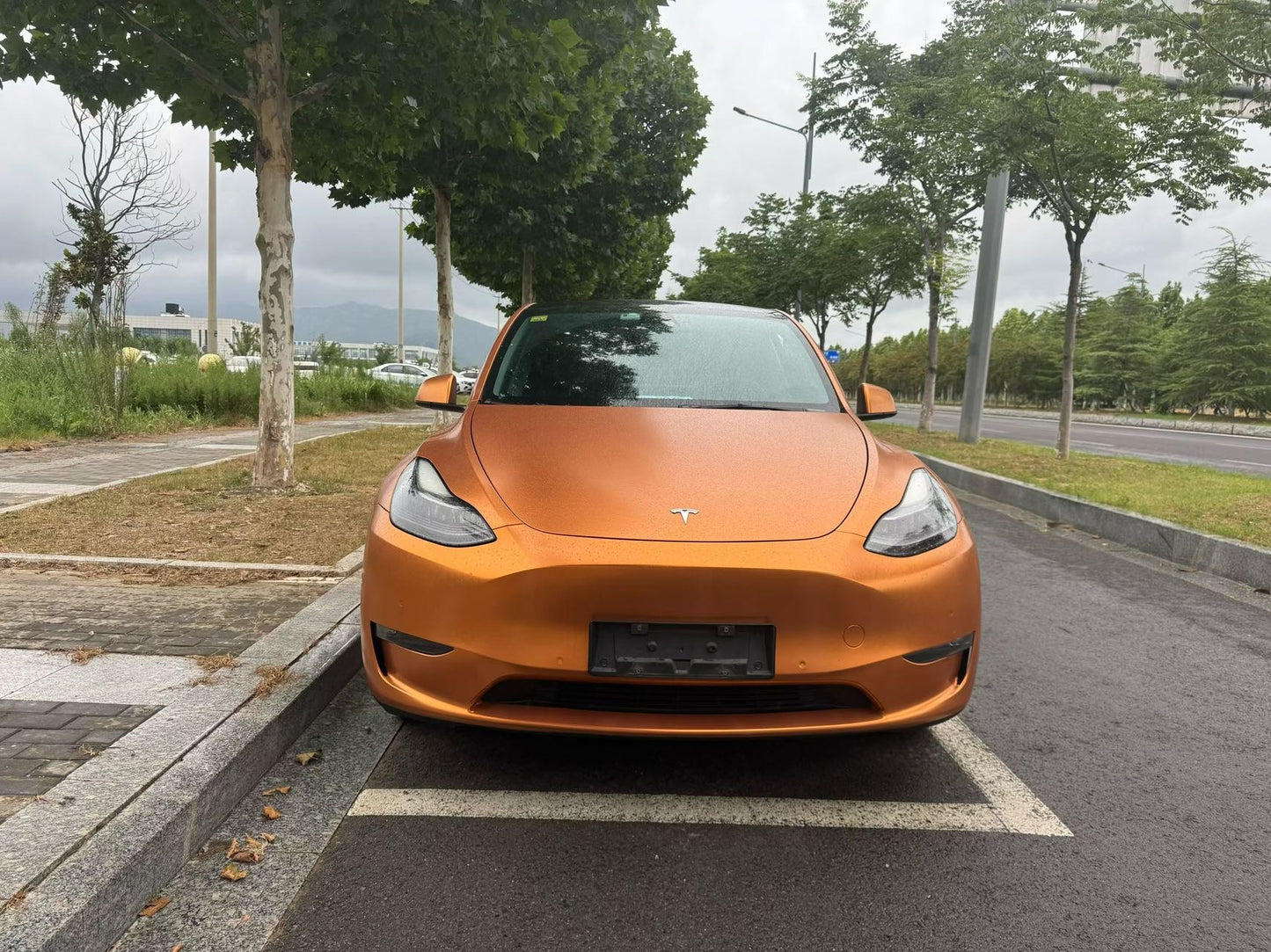 2021 Tesla Model Y Electric Standard Range Rear-Wheel Drive -CG1703689